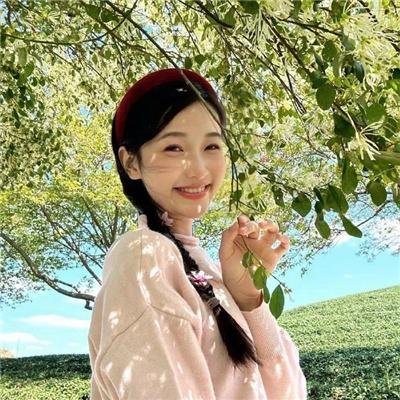 忍冬玫瑰